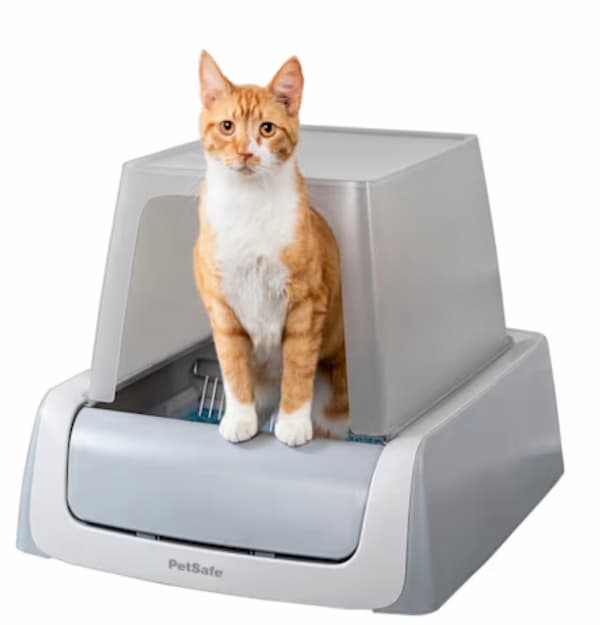 Cat in PetSafe self-cleaning litter box